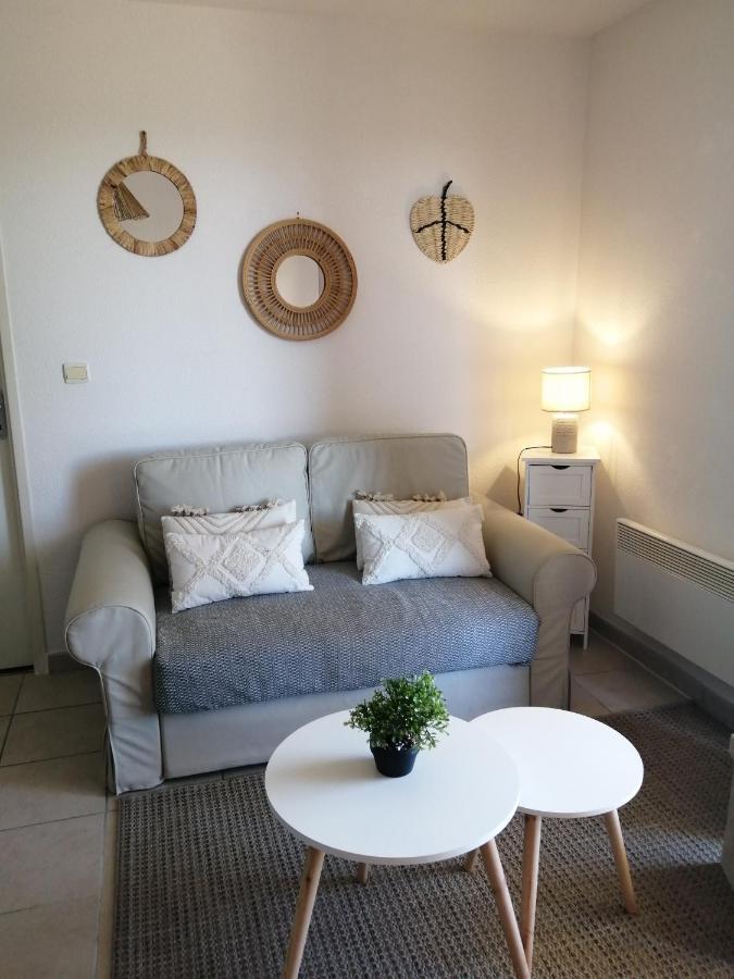 Apartamento Le Cocon De Marie,Piscine, Balcon, Parking Gratuit, Baignoire Carcasona Exterior foto