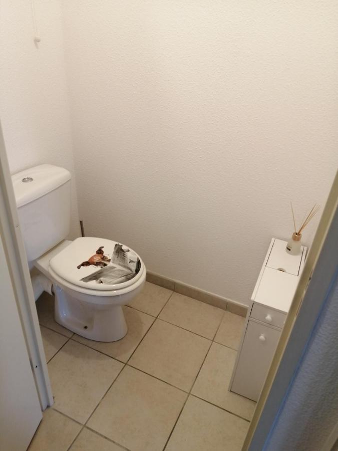Apartamento Le Cocon De Marie,Piscine, Balcon, Parking Gratuit, Baignoire Carcasona Exterior foto