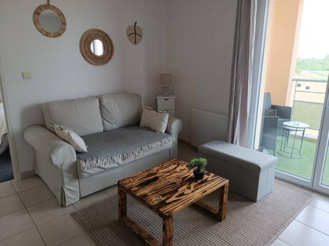 Apartamento Le Cocon De Marie,Piscine, Balcon, Parking Gratuit, Baignoire Carcasona Exterior foto